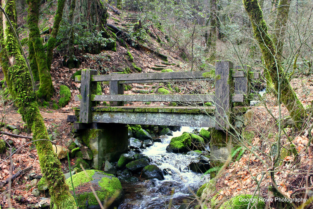 Bridges-Photo 4